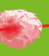 Flow cytometry