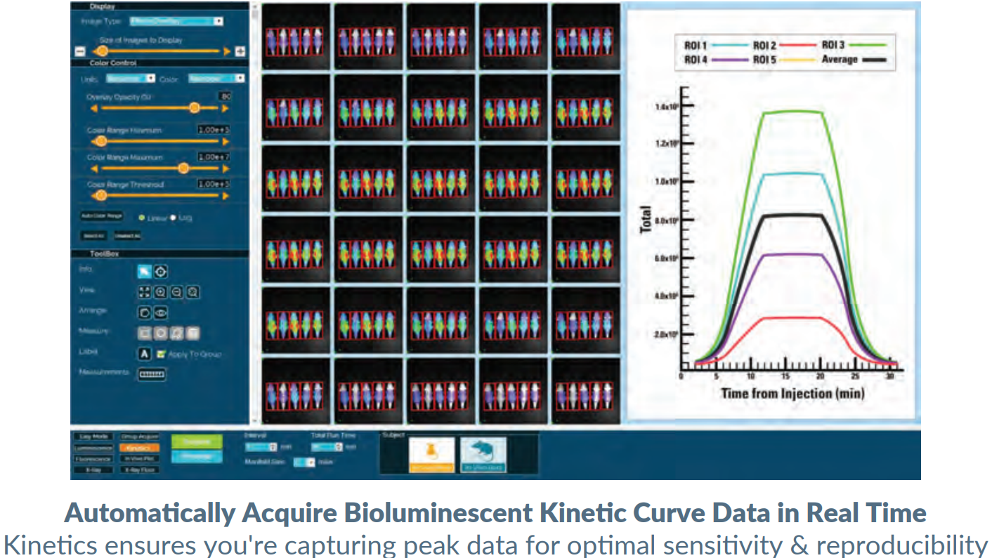 Automatically Acquire Bioluminescent Kinetic Curve Data in Real Time