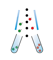 Live cell imaging