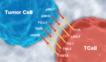 Immuno-Oncology – Tonbo Biosciences