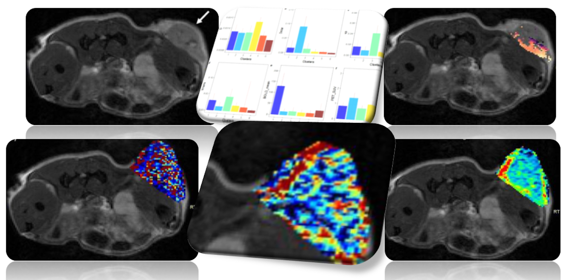 Hypoxia assessment using simultaneous multiparametric PET/MRI