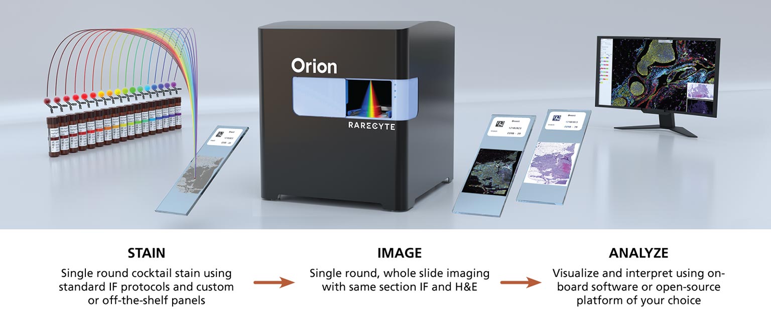 Breaking Barriers in Spatial Proteomics with Single-Round Imaging