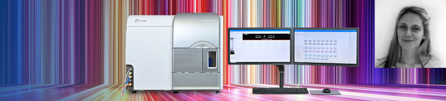 Elevate your spectral sorting experience for small and large particles with Cytek Aurora CS