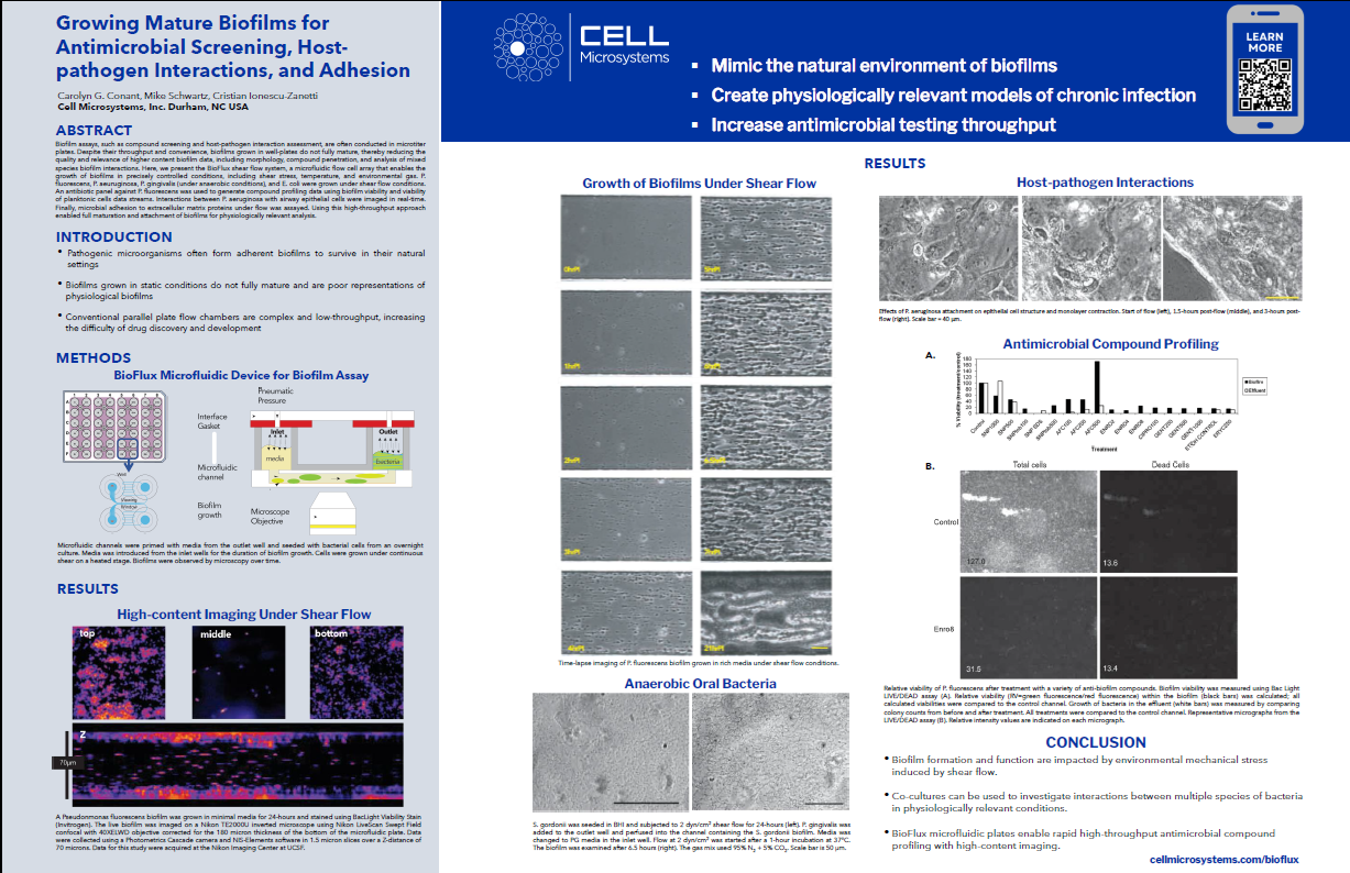 Growing Mature Biofilms for Antimicrobial Screening, Host-pathogen Interactions, and Adhesion