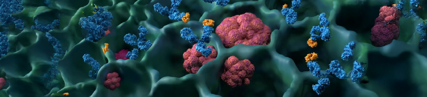 Genotype-Specific Macrophage Programs in the NSCLC Microenvironment