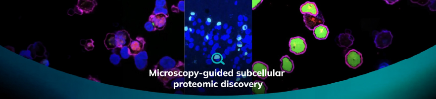 Microscopy-guided subcellular proteomic discovery by high-speed ultra-content photo-biotinylation